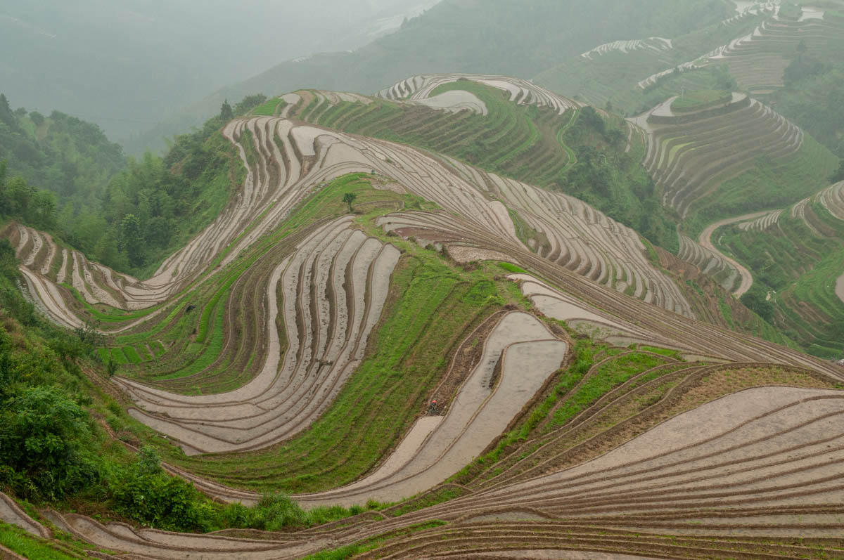 China